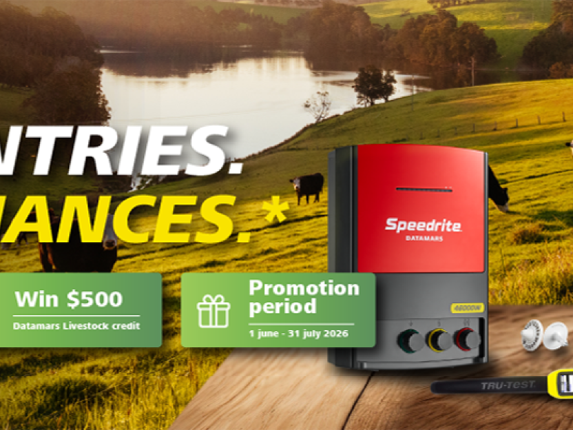 End of financial year promo - more entries more chances