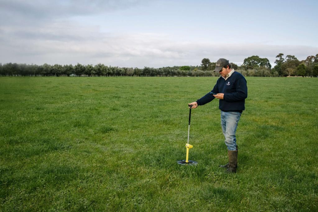 livestock measuring pasture