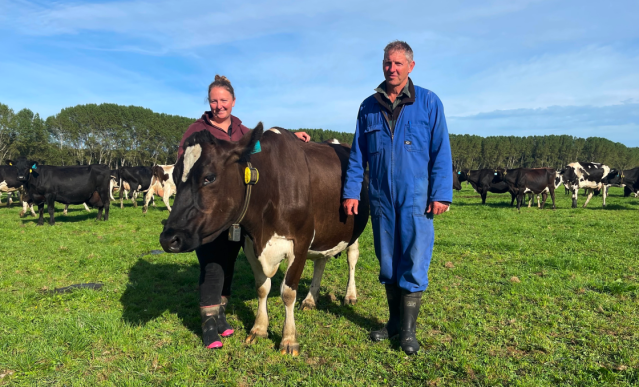 Sarah from South Canterbury with farmer and cattle